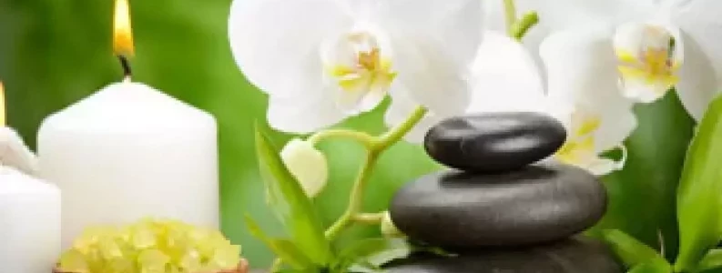 Japanese Holistic Healing Practitioner | Course | learndirect